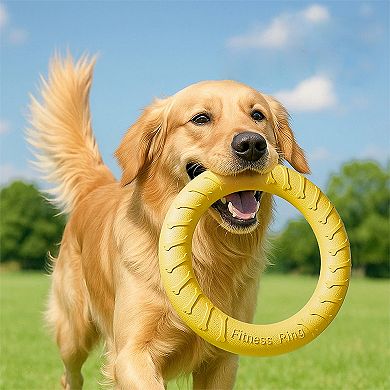 Dog Flying Disc, Outdoor Ring Puller, Floating Training & Fetch Toy for Throwing Catching & Chewers
