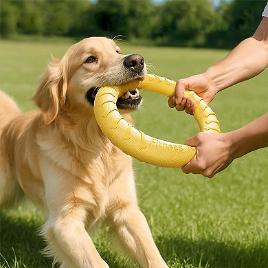 Dog Flying Disc, Outdoor Ring Puller, Floating Training & Fetch Toy for Throwing Catching & Chewers