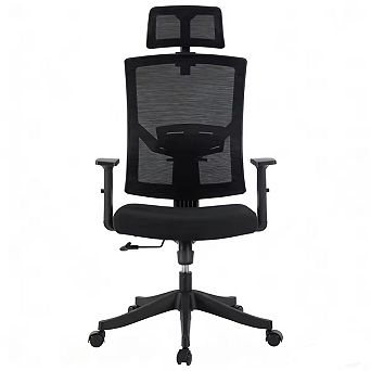 Office Chair with Adjustable Lumbar & Headrest, High Back Mesh Desk Chair for Home Office Bedroom