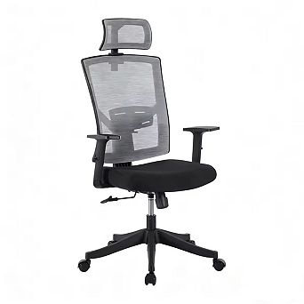 Office Chair with Adjustable Lumbar & Headrest, High Back Mesh Desk Chair for Home Office Bedroom