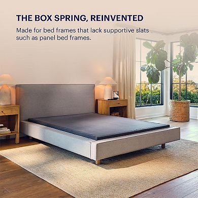 Ailsa Metal Low Profile 5-inch Flat Foundation by Purple