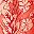 Large Orange Floral