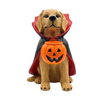 Celebrate Together™ Halloween Vampire Dog Decor
