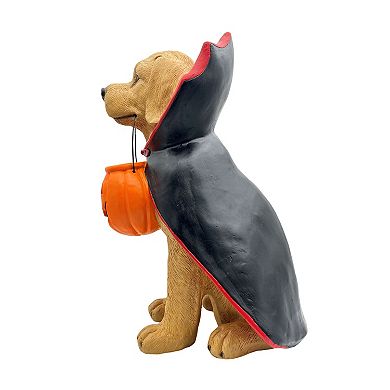 Celebrate Together™ Halloween Vampire Dog Decor