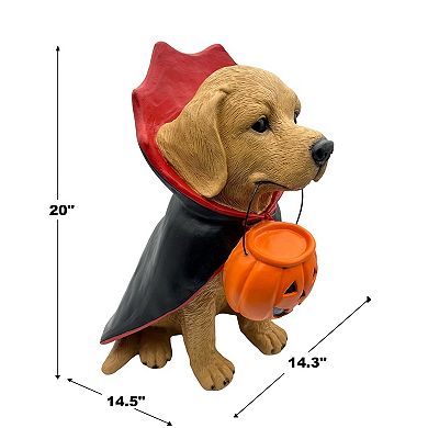 Celebrate Together™ Halloween Vampire Dog Decor