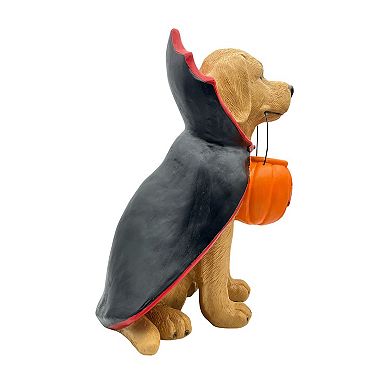 Celebrate Together™ Halloween Vampire Dog Decor