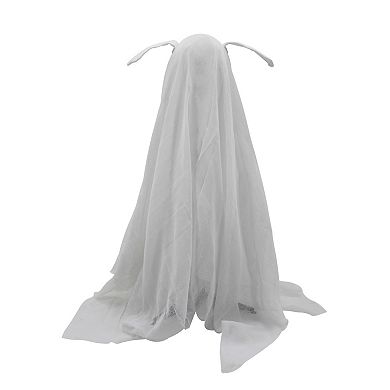 Celebrate Together™ Halloween LED Ghost Dog Outdoor Decor