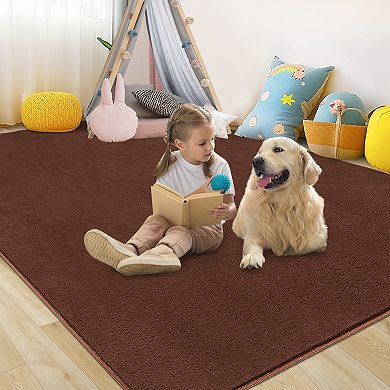 Modern Solid Color Minimalist Area Rug Machine Washable Non Slip Carpet for Living Room Bedroom