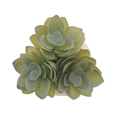Celebrate Together™ Artificial Mini Potted Succulent Pumpkin Decor