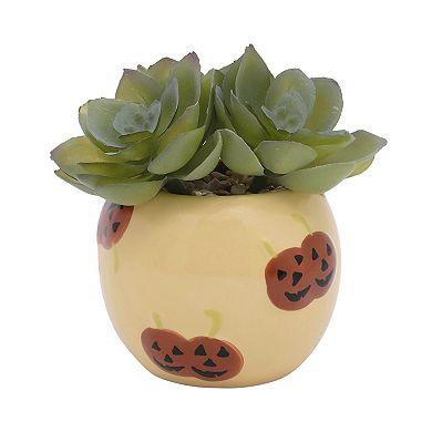 Celebrate Together™ Artificial Mini Potted Succulent Pumpkin Decor