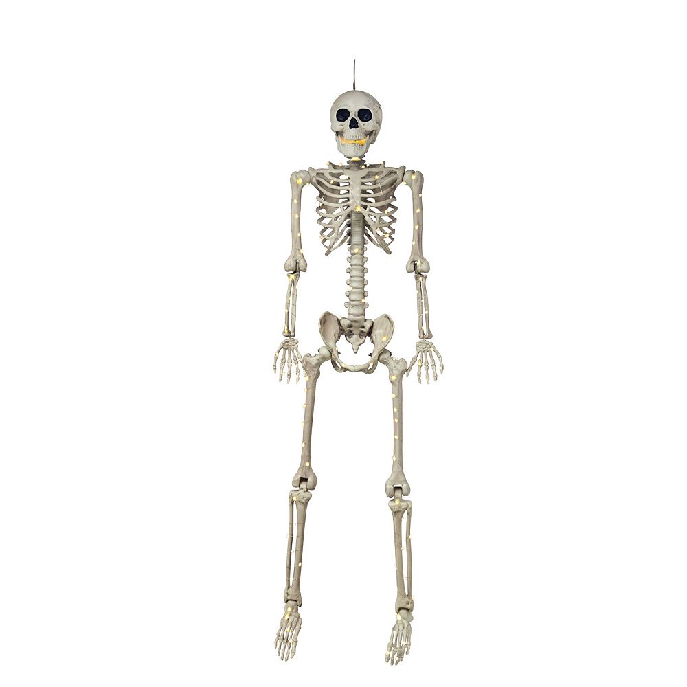 Celebrate Togetherâ¢ Halloween LED Illuminated Halloween Skeleton Decor