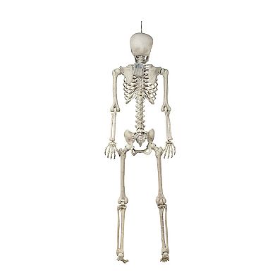 Celebrate Together™ Halloween LED Illuminated Halloween Skeleton Decor