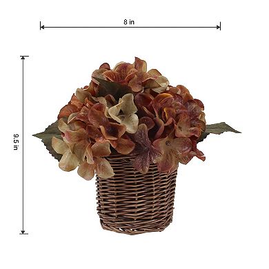 Sonoma Goods For Life® Artificial Hydrangeas Arrangement in Wicker Basket