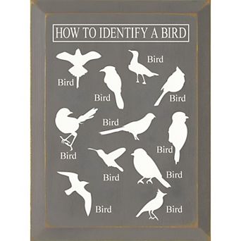 Decorative Wood Wall Sign 9x12 Bird Identification Quote Art