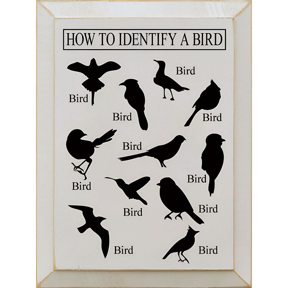 Decorative Wood Wall Sign 9x12 Bird Identification Quote Art