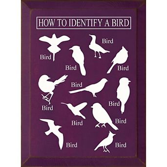 Decorative Wood Wall Sign 9x12 Bird Identification Quote Art