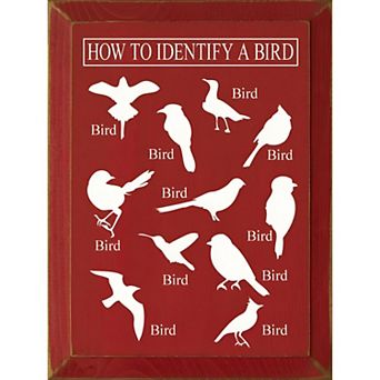 Decorative Wood Wall Sign 9x12 Bird Identification Quote Art