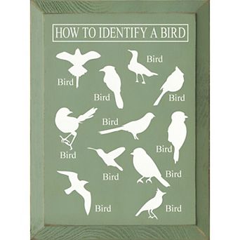 Decorative Wood Wall Sign 9x12 Bird Identification Quote Art