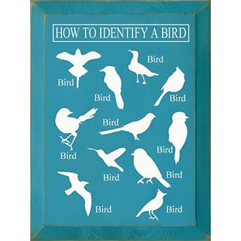 Decorative Wood Wall Sign 9x12 Bird Identification Quote Art
