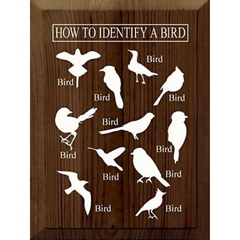Decorative Wood Wall Sign 9x12 Bird Identification Quote Art