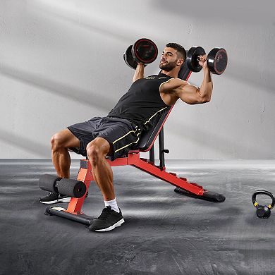 Adjustable Weight Bench for Home Gym Foldable Bench with Multiple Positions - Red and Black