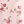 Pink Floral