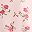 Pink Floral