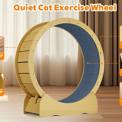 ELEMENT ACE Large Indoor Pet Exercise Wheel with Detachable Carpeted Runway for Active Animals