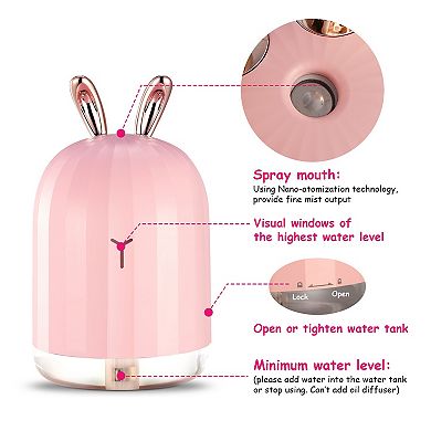 Mini Cool Mist Humidifier 220ml Ultrasonic Diffuser with LED Lights