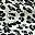 White Black