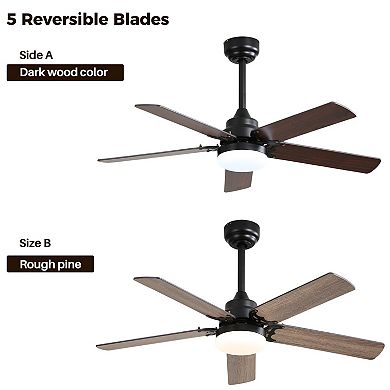 ELEMENT ACE 42" Modern Ceiling Fan with LED Light, Remote Control & Reversible DC Motor