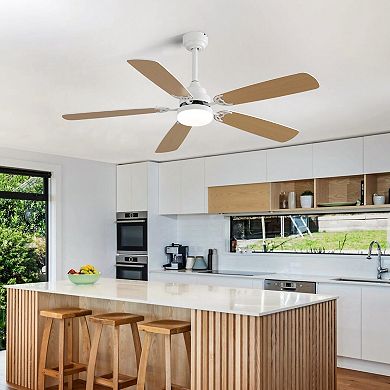 ACE Modern Ceiling Fan with LED Light & Remote Control for Efficient Airflow