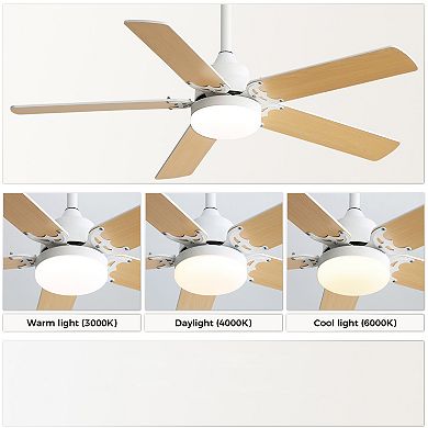 ELEMENT ACE 42 Inch Contemporary Ceiling Fan with Adjustable LED Light and Remote Control