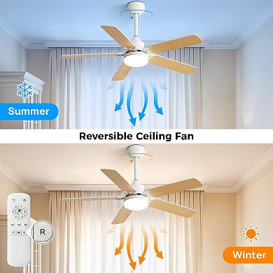 ELEMENT ACE 42 Inch Contemporary Ceiling Fan with Adjustable LED Light and Remote Control