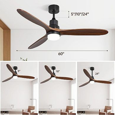 ELEMENT ACE Modern Indoor Outdoor Ceiling Fan with Integrated Dimmable LED Light and Remote Control