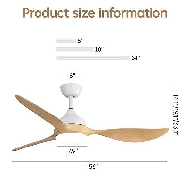 ELEMENT ACE Modern Ceiling Fan with Dimmable LED Light & Quiet Reversible Motor for Indoor/Outdoor