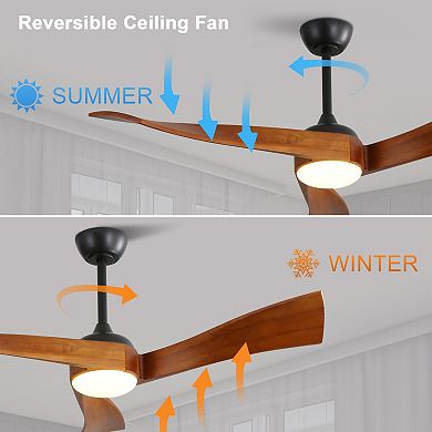 ELEMENT ACE 52 Inch Modern Ceiling Fan with Dimmable LED Light Solid Wood Blades Reversible DC Motor