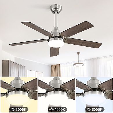 ELEMENT ACE 42 Inch Modern Ceiling Fan with LED Light and Remote Control