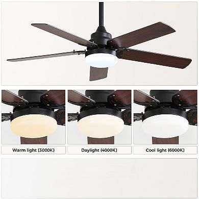 ELEMENT ACE 42" Contemporary Ceiling Fan with LED Light & Remote Control for Indoor/Outdoor