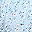 Light Blue Floral