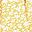 Yellow Floral