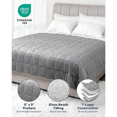 15lb Minky Dot Weighted Blanket 60x80 All-Season Washable