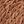 Medium Brown