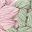 Pink Green