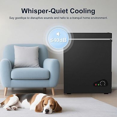 5.0 Cu Ft Chest Freezer With All-climate Compressor