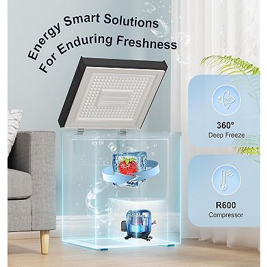 5.0 Cu Ft Chest Freezer With All-climate Compressor