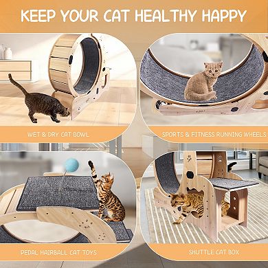 ELEMENT ACE 6-in-1 Multi-Functional Indoor Pet Exercise Wheel with Silent Operation