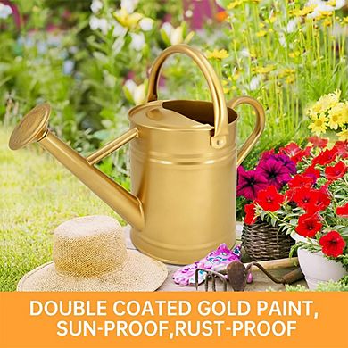 Galvanized Steel Flower Garden Watering Can