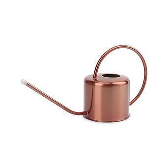 Stainless Steel Long Spout Water Can