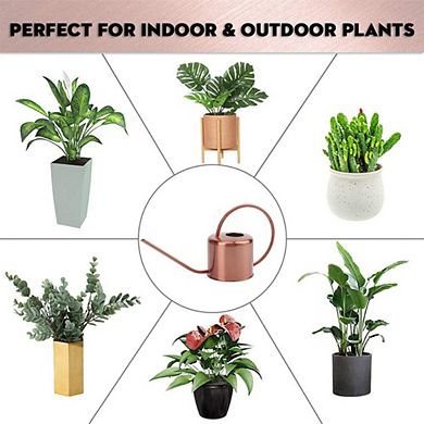 Stainless Steel Long Spout Water Can